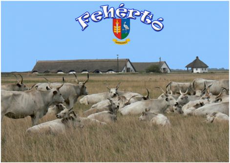 feherto_poszter-8.jpg